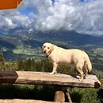 Inn Hocheckhuette On Of The Hahnenkamm Mountain