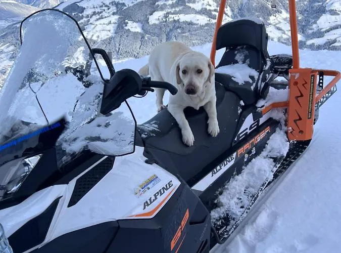 Estalagem Hocheckhuette On Of The Hahnenkamm Mountain *