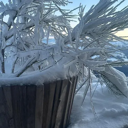 Hocheckhuette On Of The Hahnenkamm Mountain * קיצביהל
